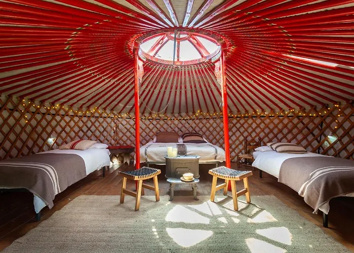 Hobo Курмайор