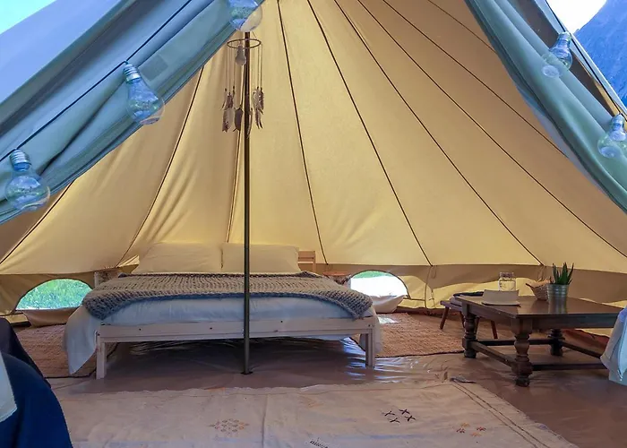 Hobo Курмайор